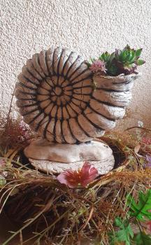 Preview: Pflanzschale Ammonit Schnecke