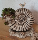 Pflanzgefäß Ammonit Schnecke Handgefertigt
